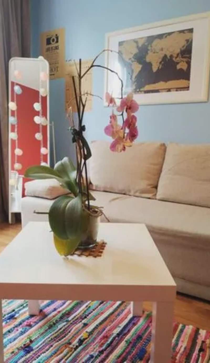 Slucko Central Studio Apartment near River