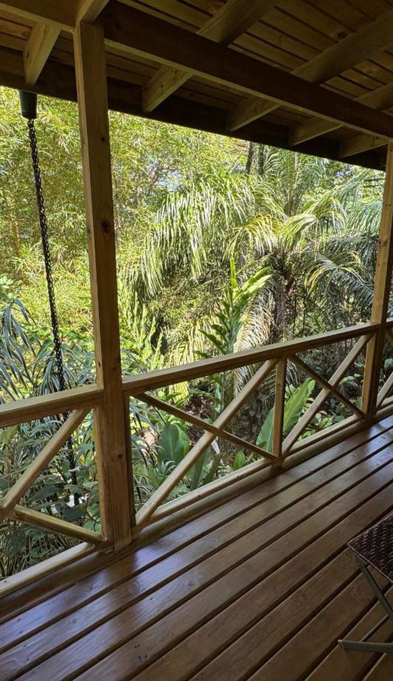 Forest Lodge