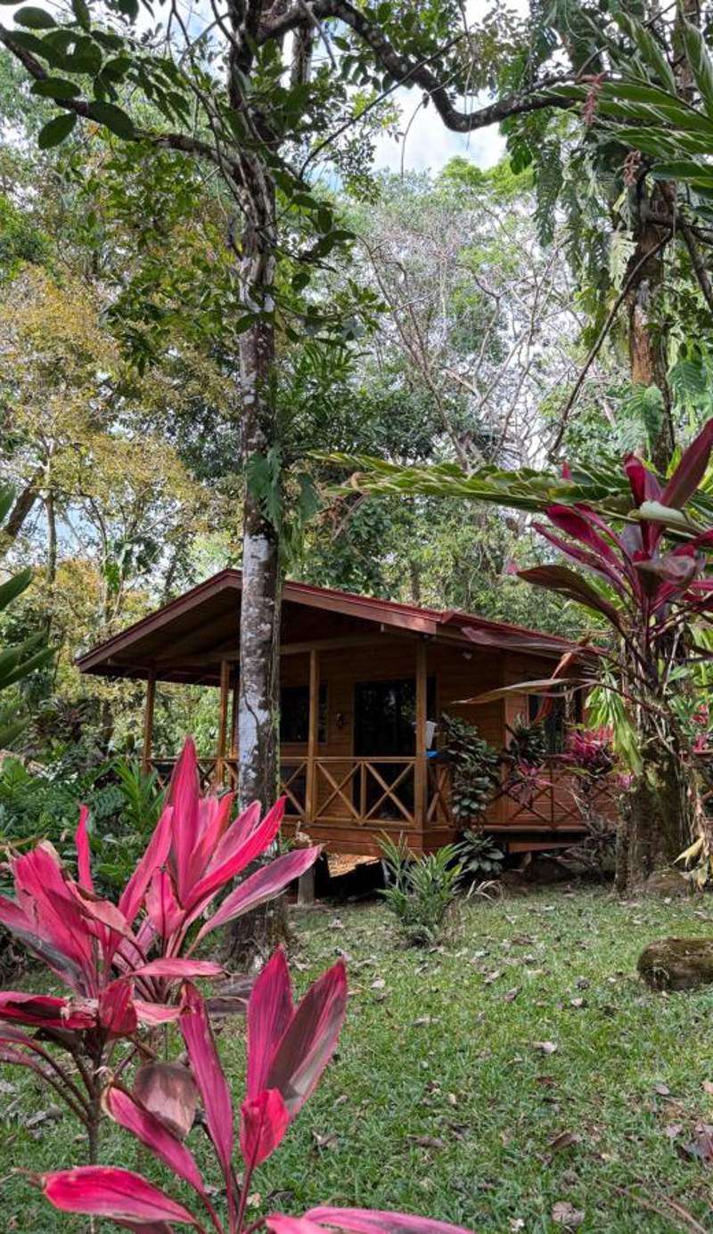 Cabinas Costa Tropicana