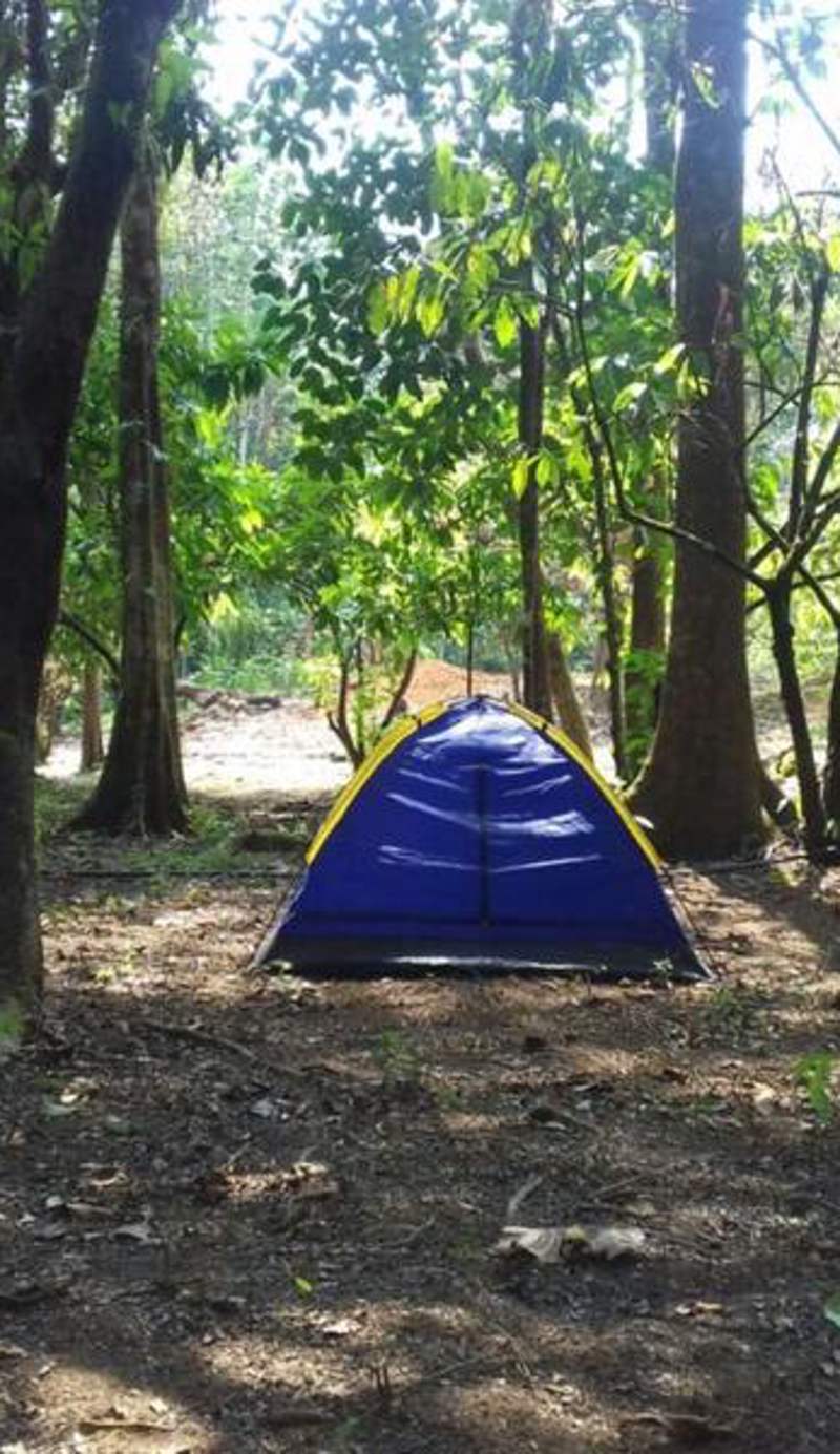 Rio Agujitas Eco Jungle Hostel, Camping and Tours