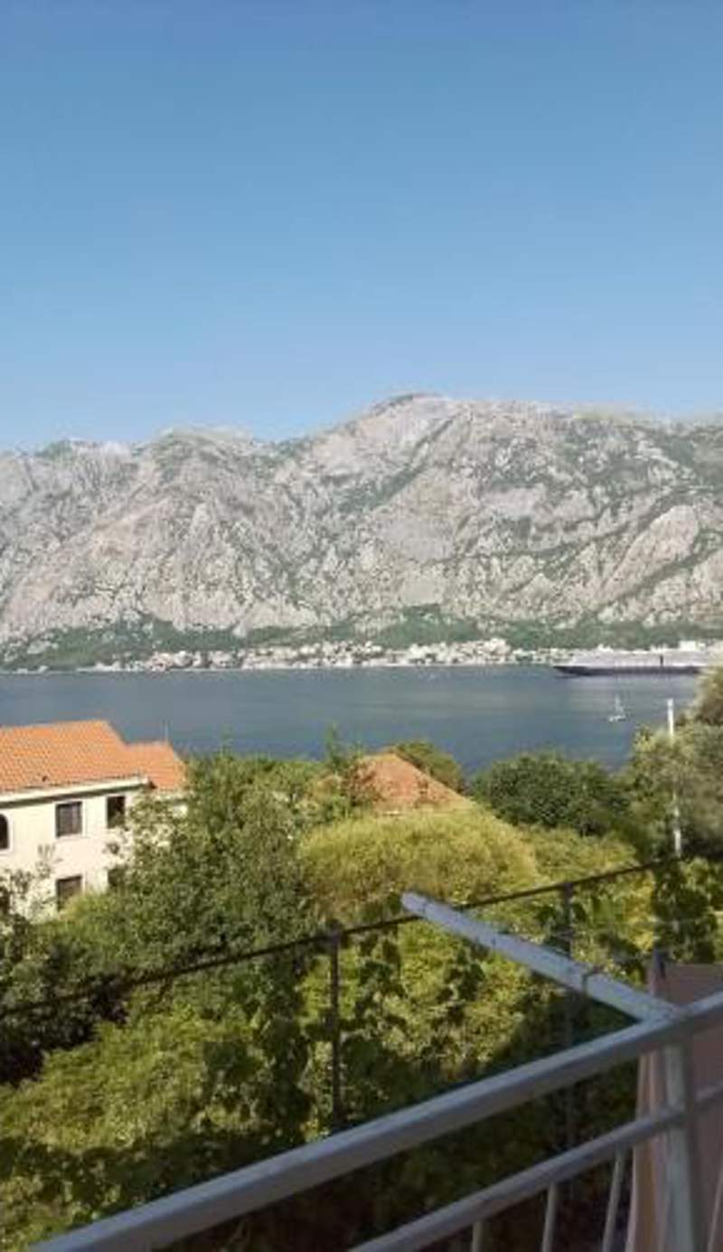 Apartments Djuricic