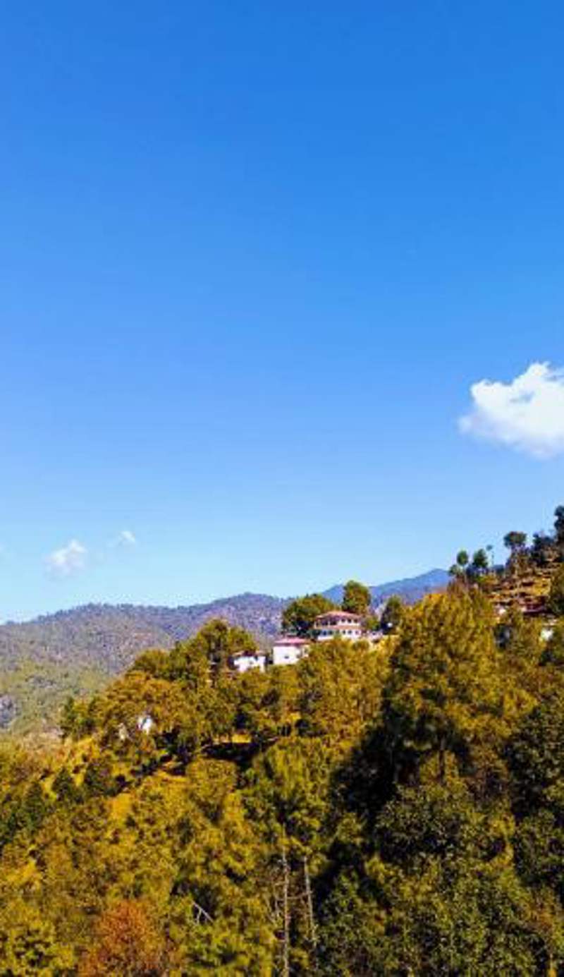 Boros Resorts Binsar