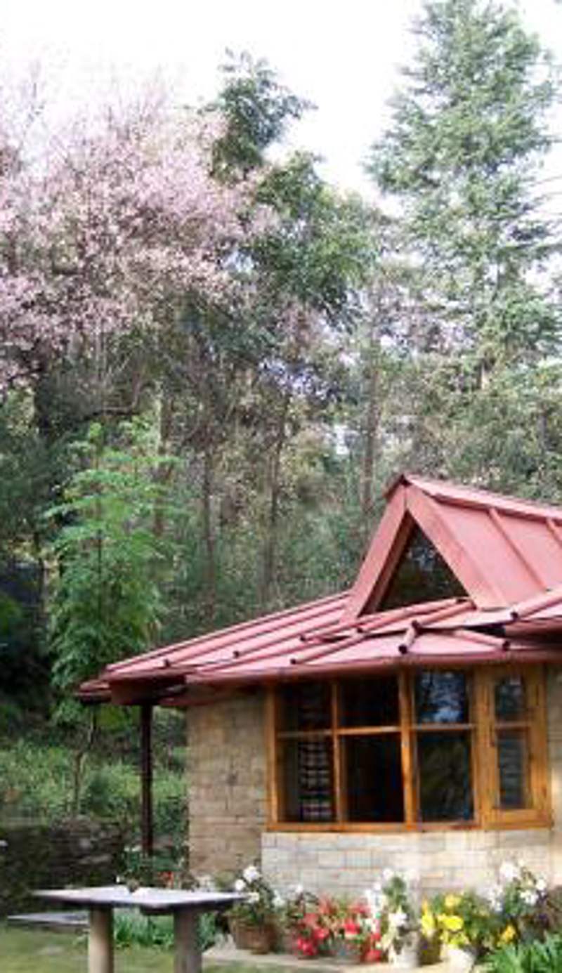 Snow View Cottage Kasardevi