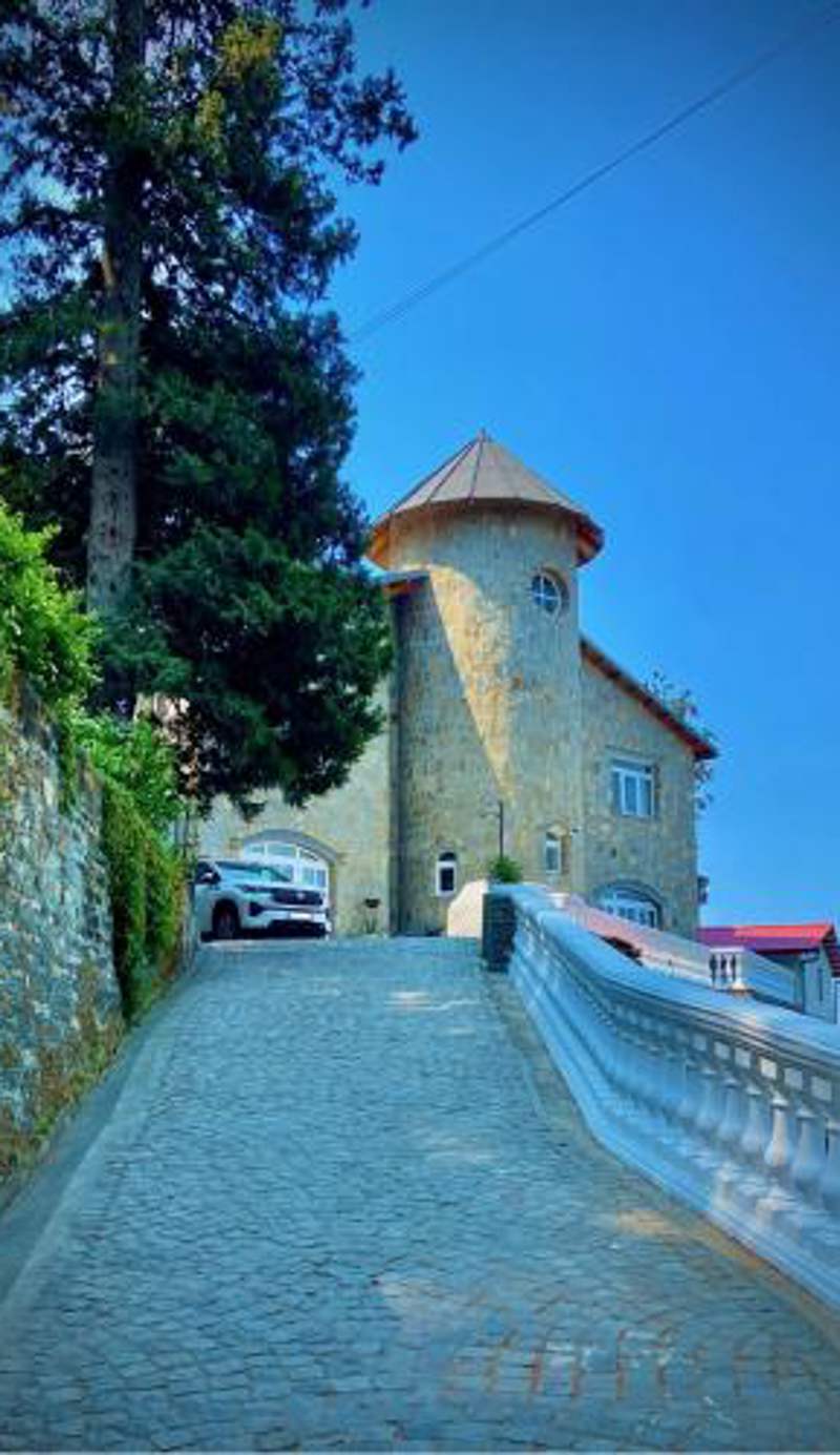 The Magnolia Lodge