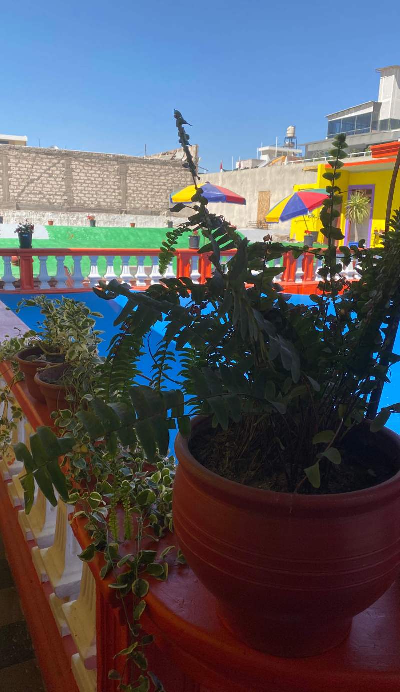 Pusary Hostel