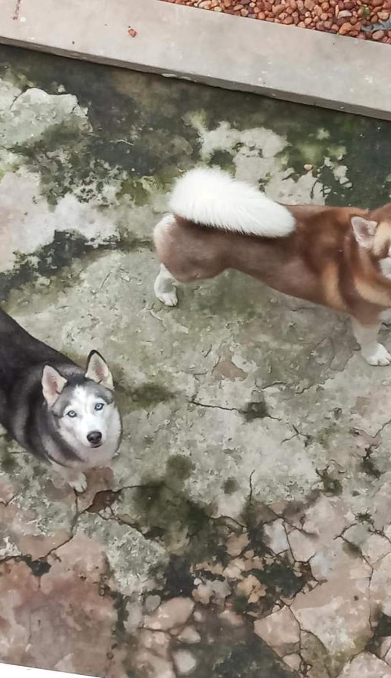 Departamento bonito y acogedor cerca de todo!
