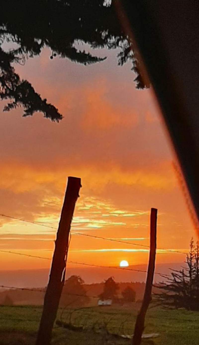 Cabañas Las Palmeras Pichilemu