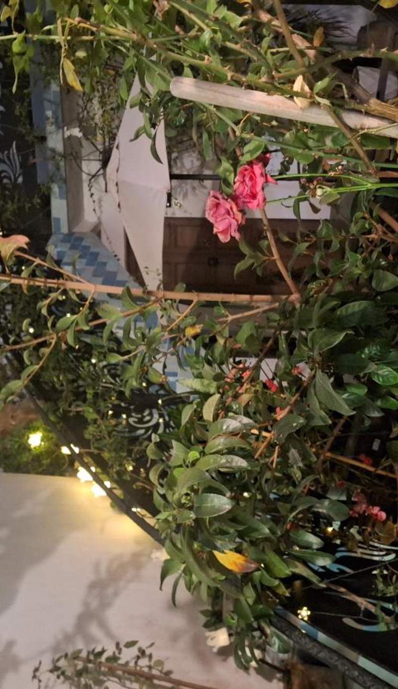El Jardín de la Abuela