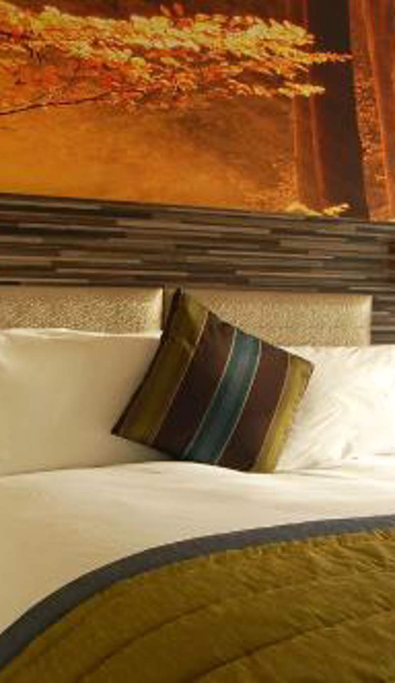 B&B Hotel Manchester SportCity