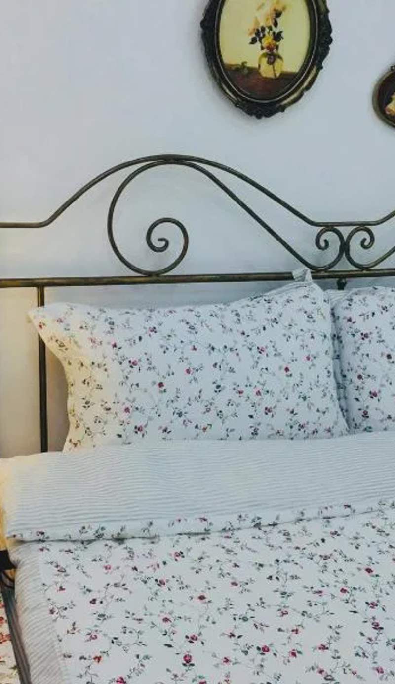 Primrose Homestay Cao Bang