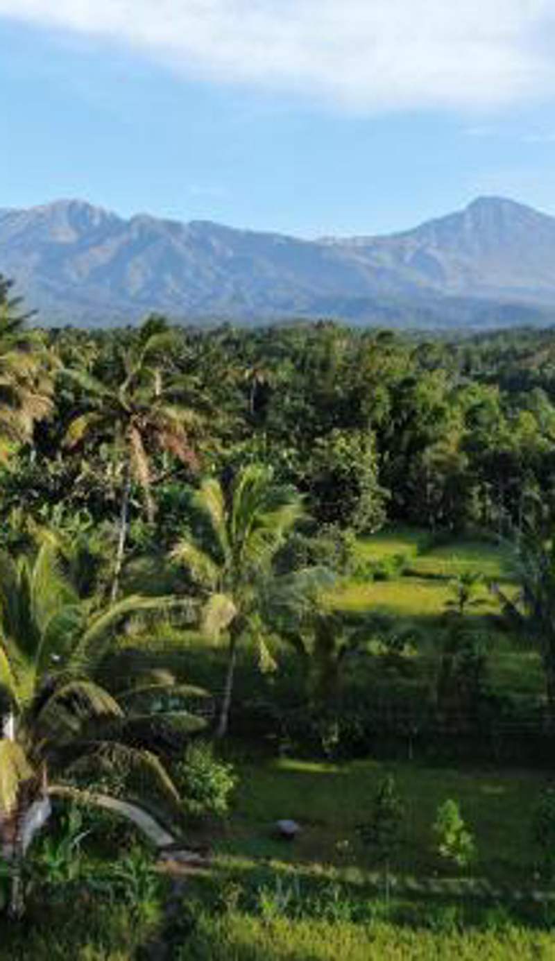 Mu Homestay Tetebatu