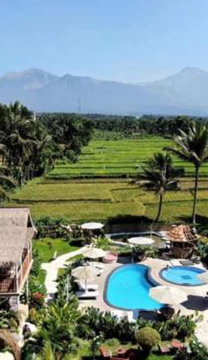 Tetebatu Flush Harmony