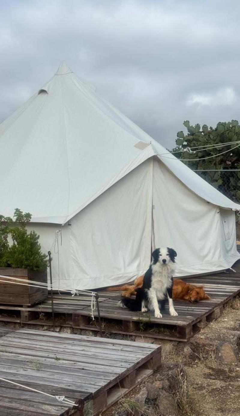 Maka Haui Glamping