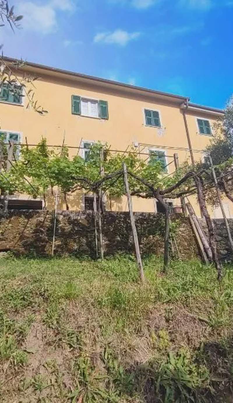Appartamento dei limoni