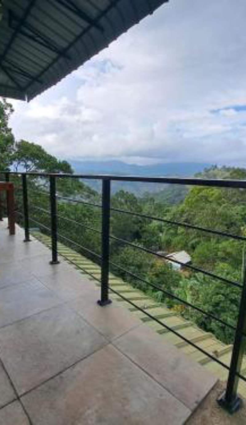 THE " ONEX PARADISE " ELLA