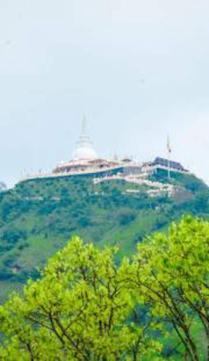 Liyon Hotel