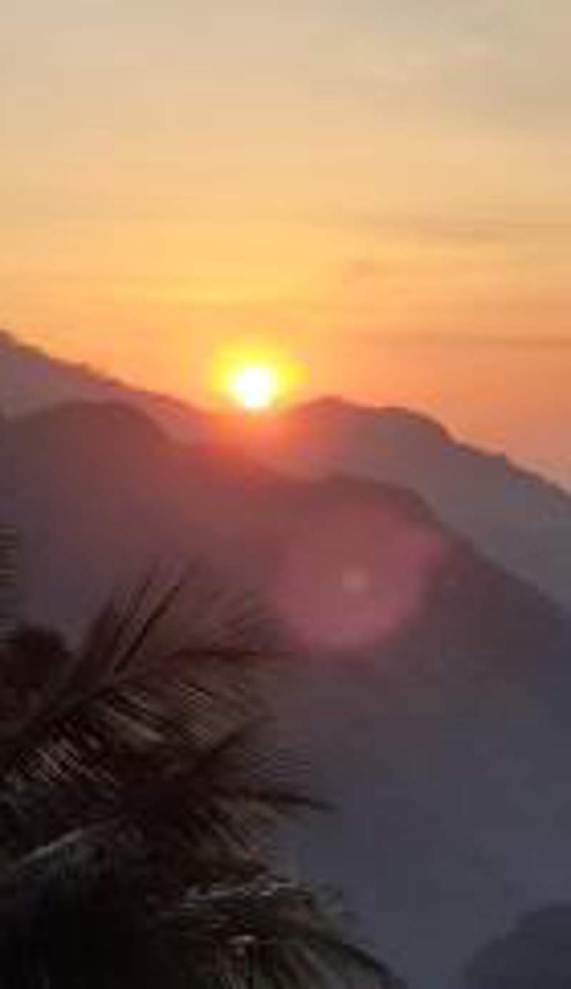 Nest Of Peak