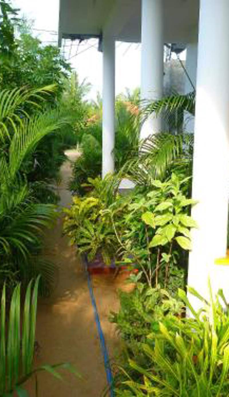 SURF & SAND Hotel Arugambay