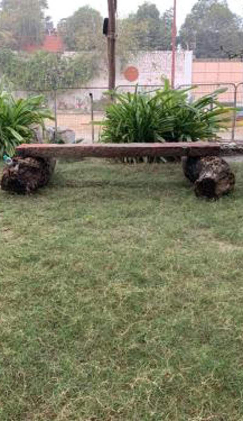 Nature Resort