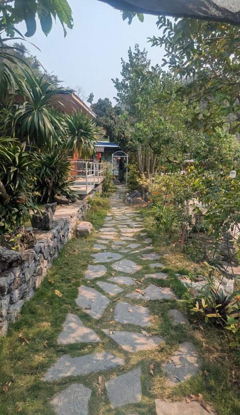 Cat Ba Love House