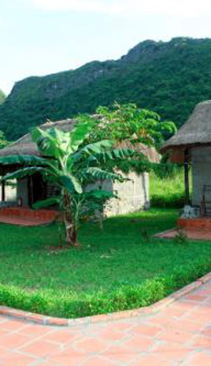 Whisper Nature Bungalow & Resort