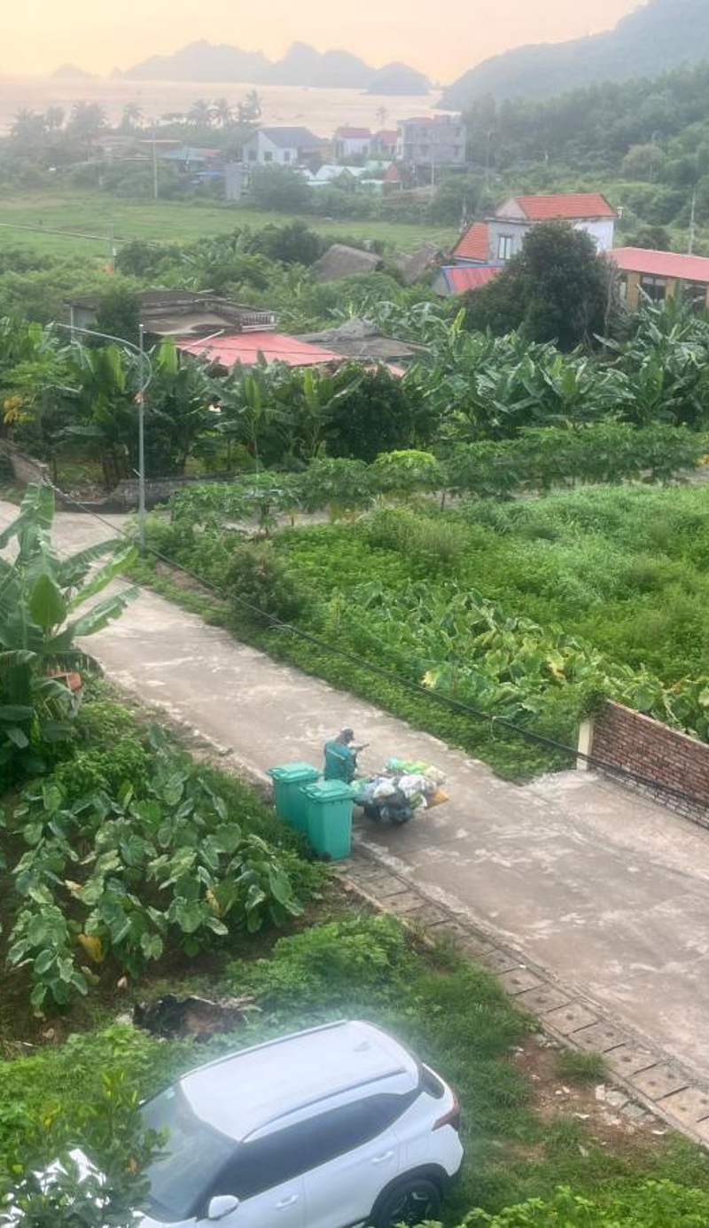 Green Homestay