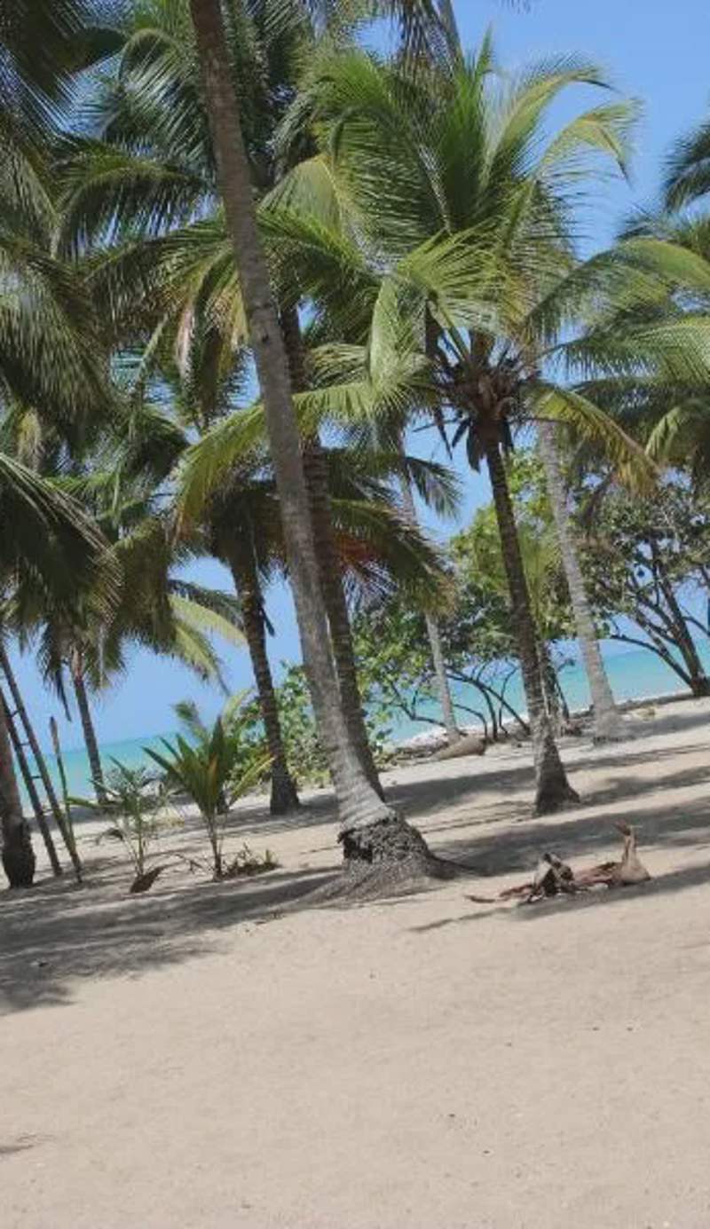 Cabanas Las Estrellas