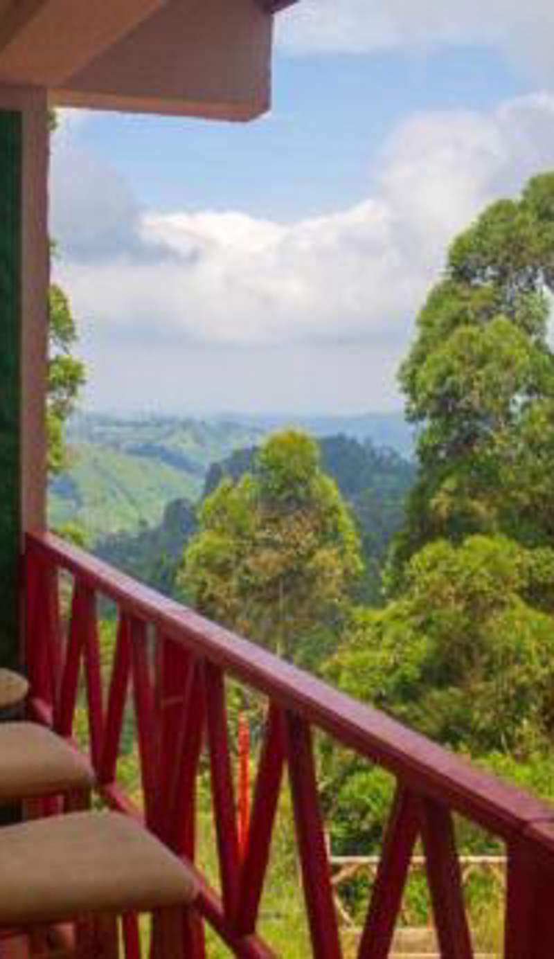 Hotel Natura Cocora