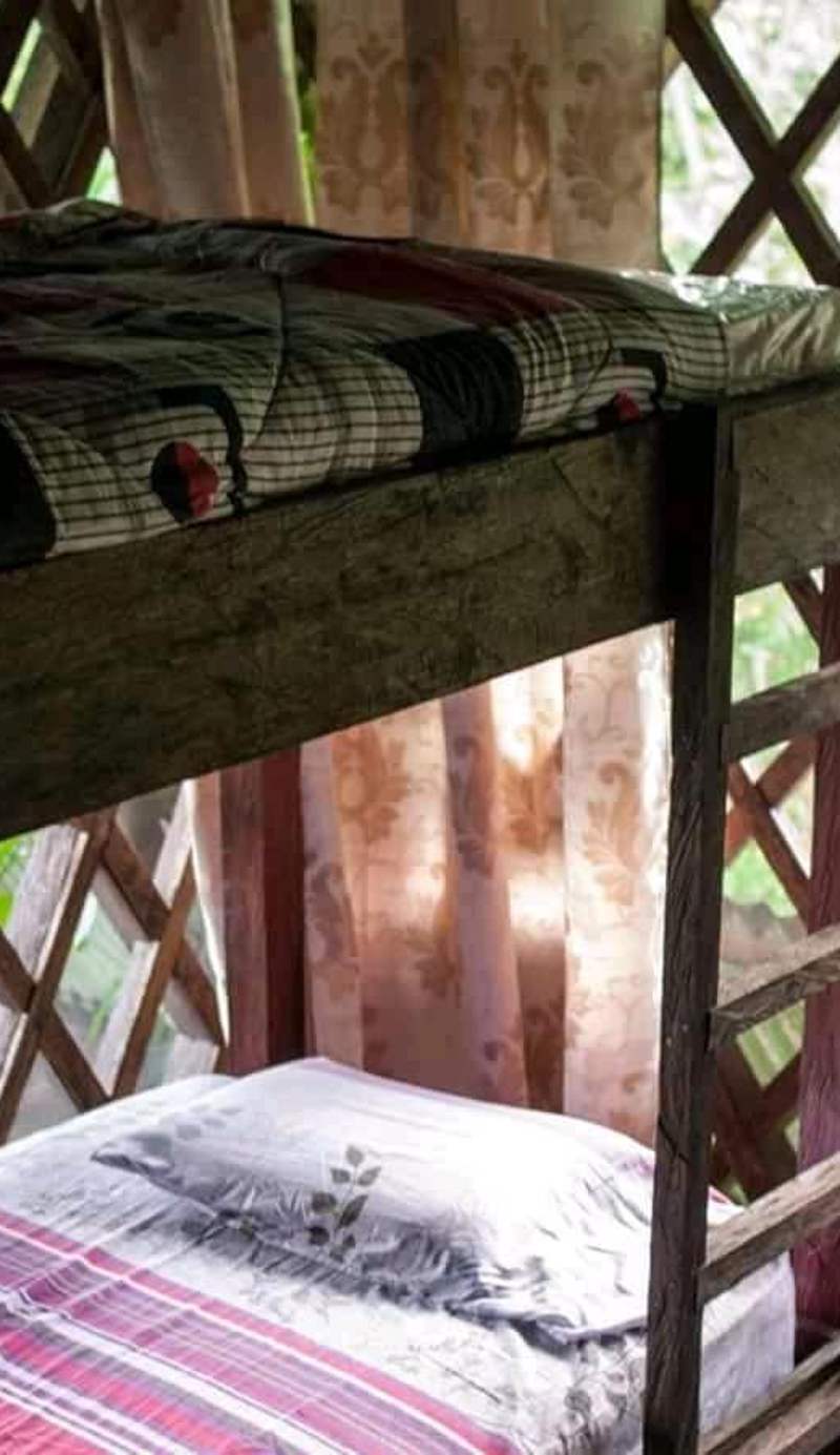 Paraiso Ayahuasca
