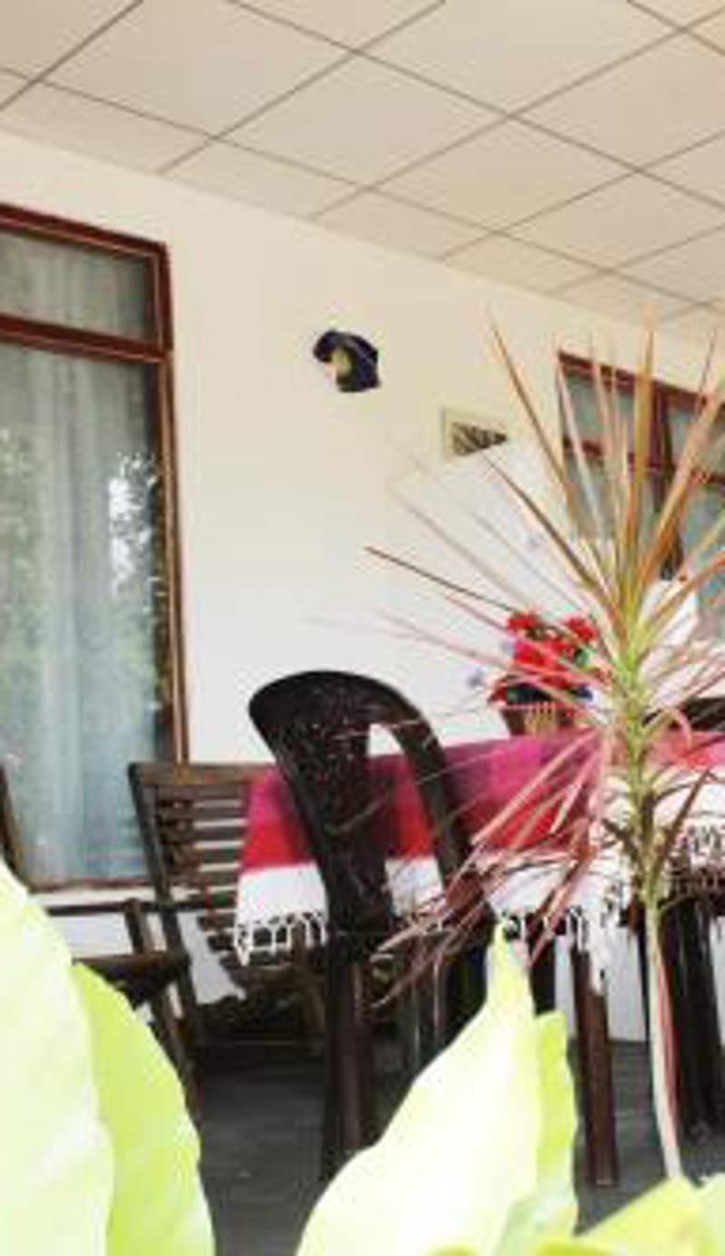 Freedom Home Stay