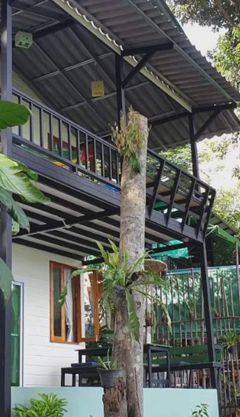 Jeroen's Jungle View