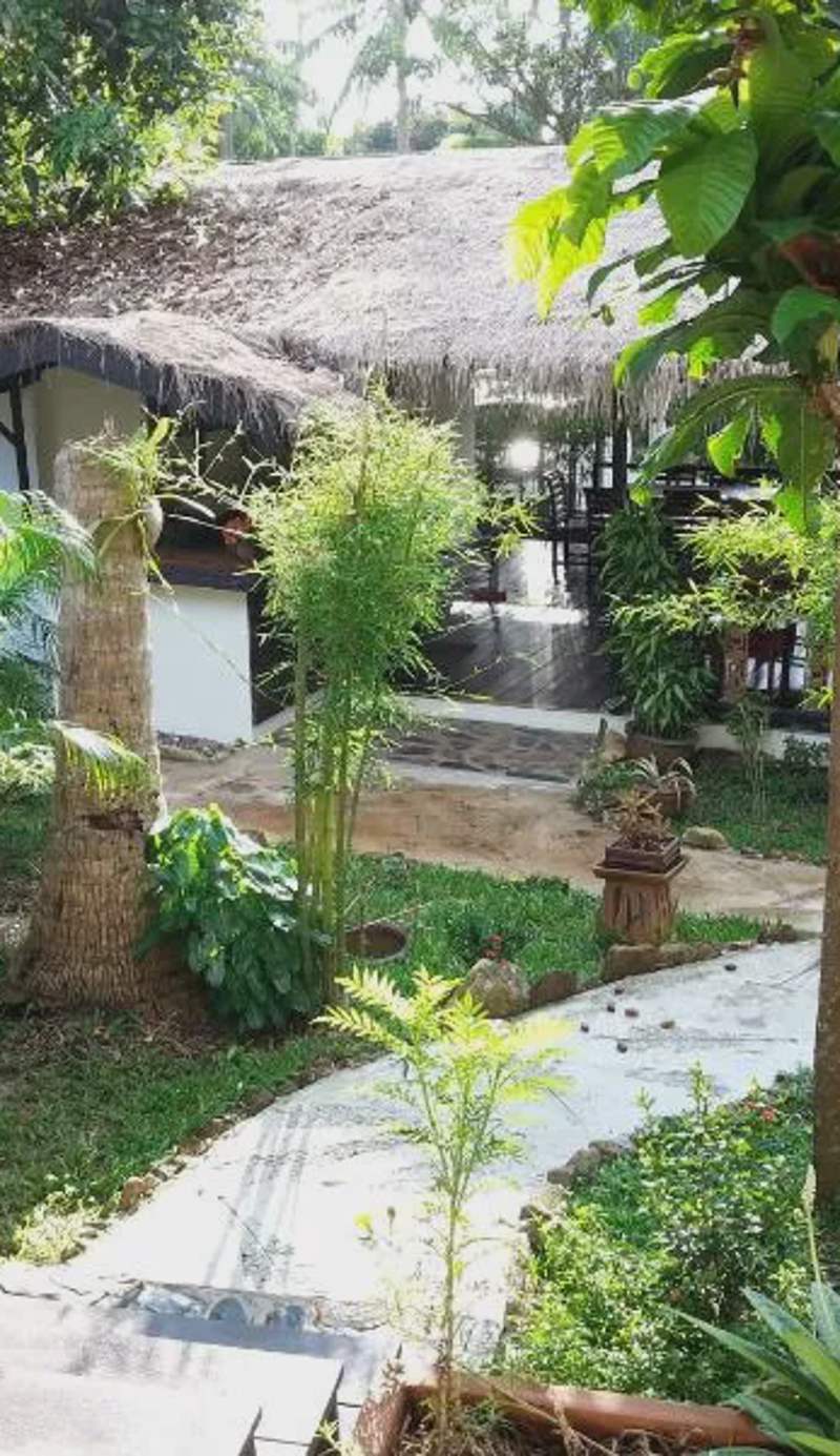 Lucky Gecko Garden