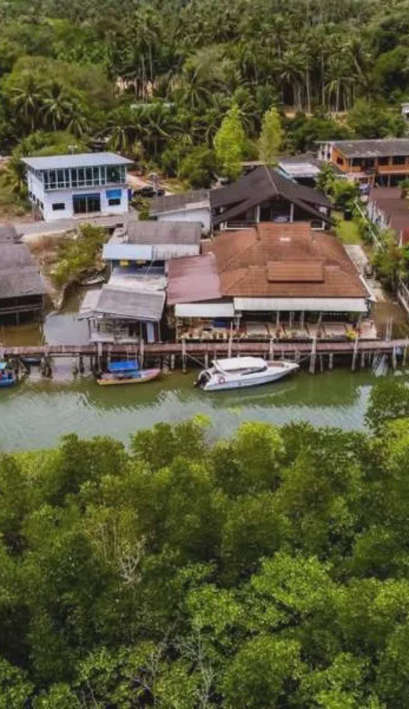The Mangrove Hideaway Kohchang