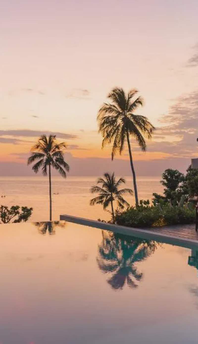 Nest Sense Resort