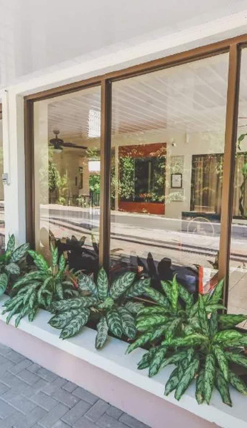 Hotel Flor Blanca