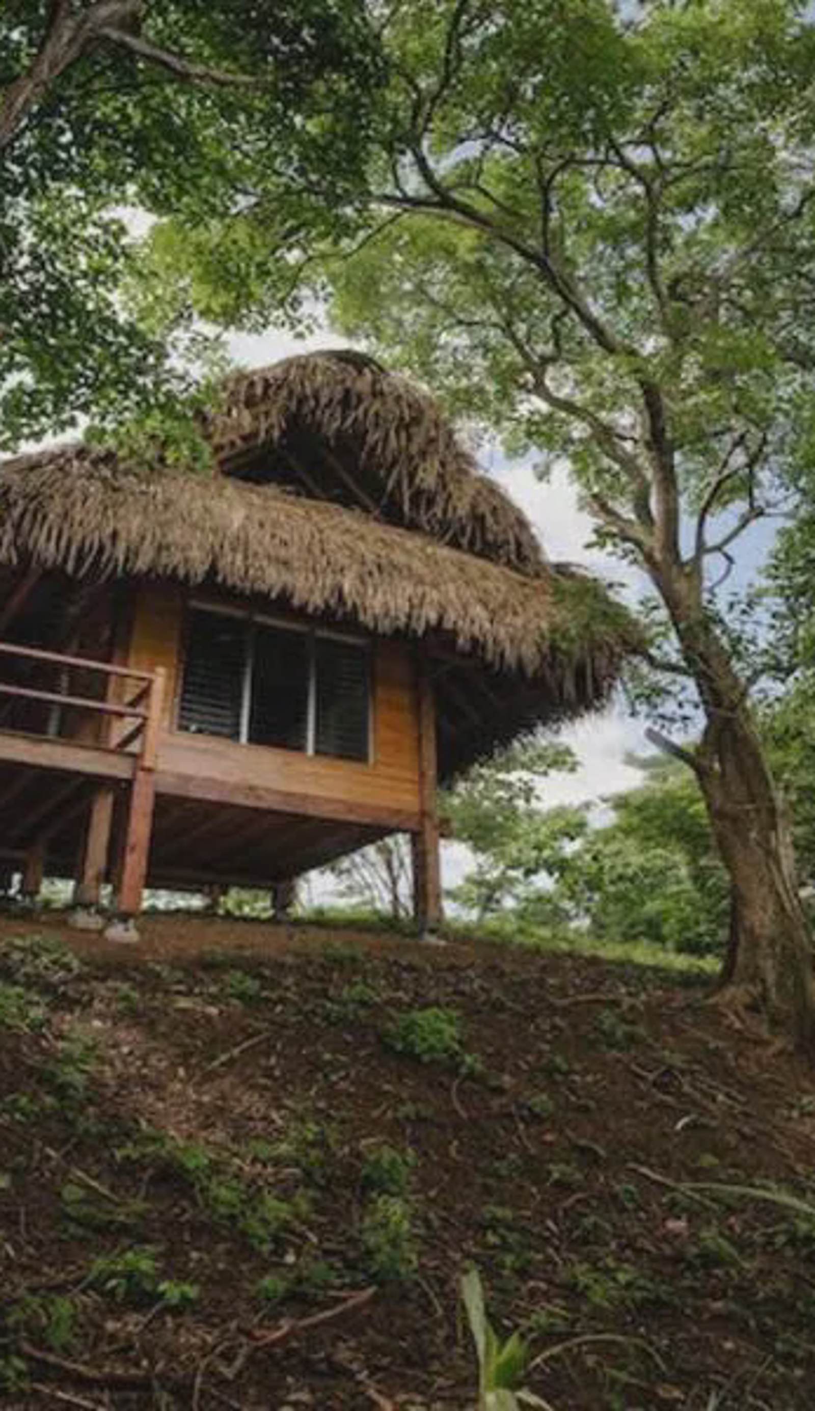 Eco Venao