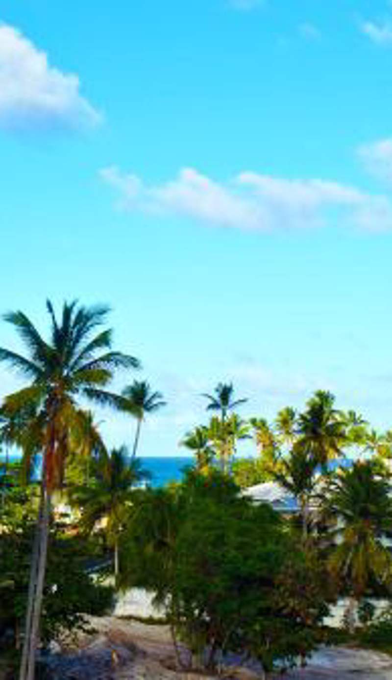 Hostel Eco Punta Cana