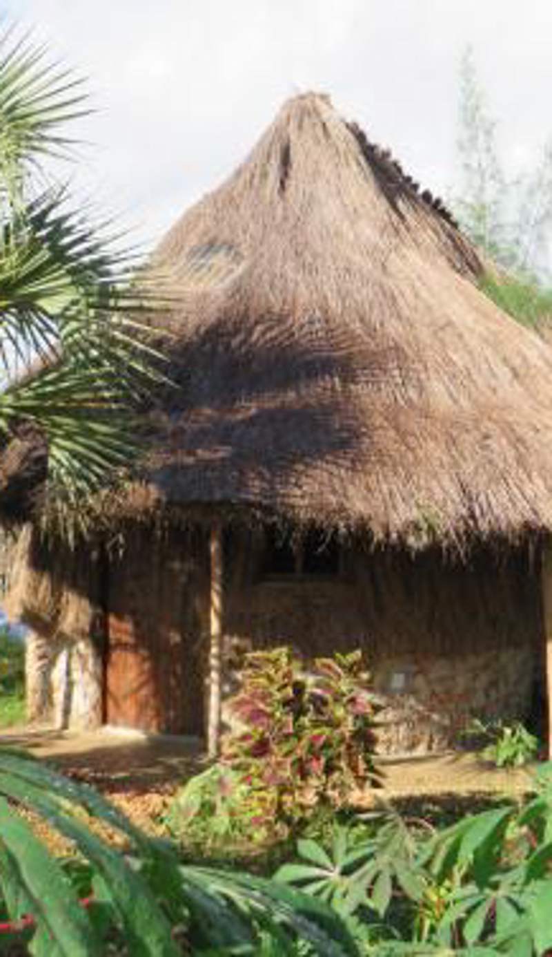 Bahati Diani House Glamping