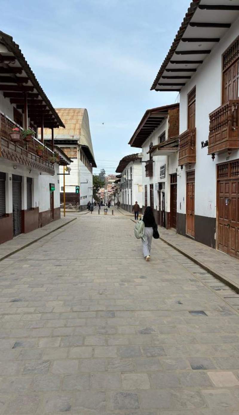 Casa Hospedaje Teresita