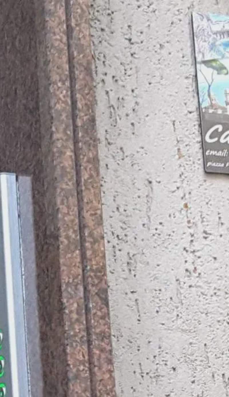 Casa dell'Artista 1
