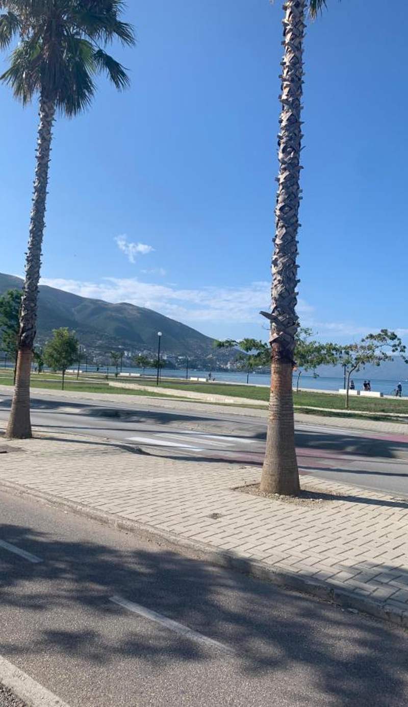 Vila Magis