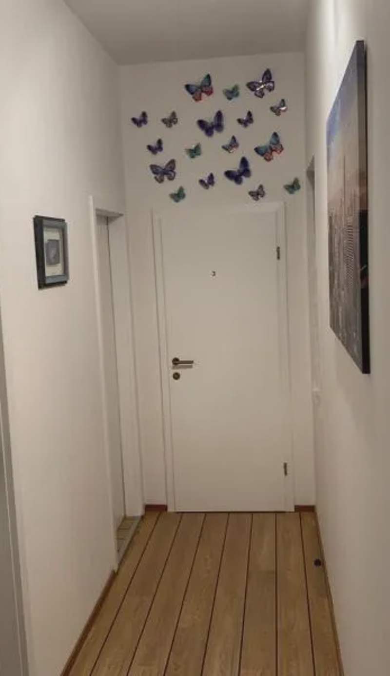 Apartmani Lučin