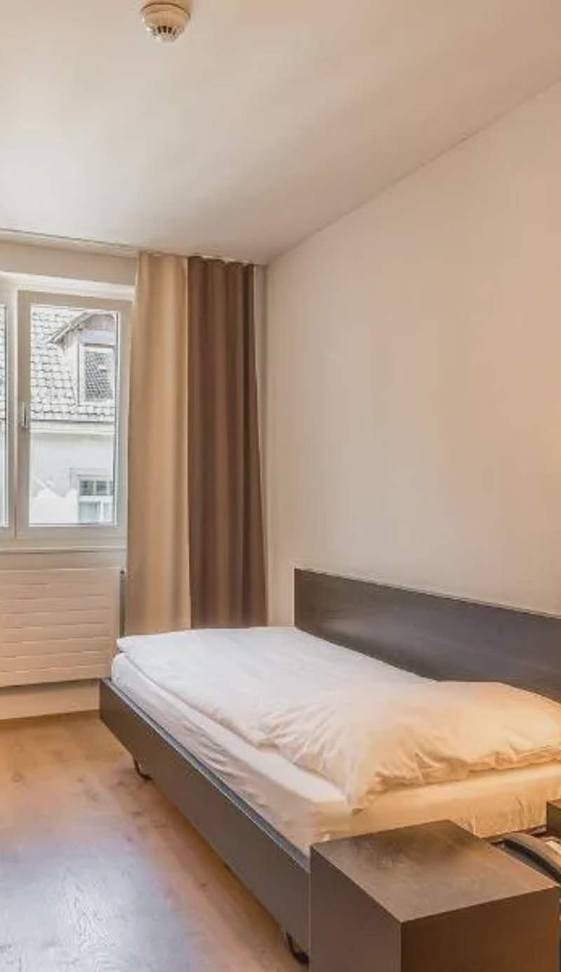 Hotel Alpina Luzern