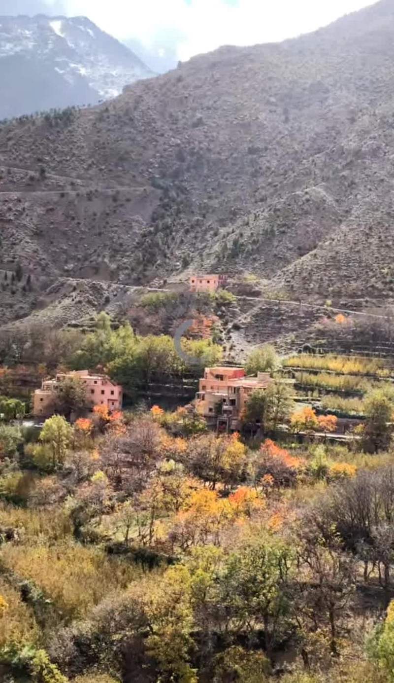 Gîte Akioud Mazzik