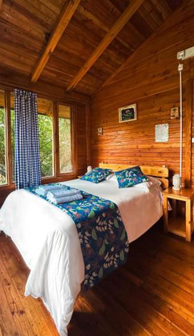 Hotel El Abrazo del Arbol