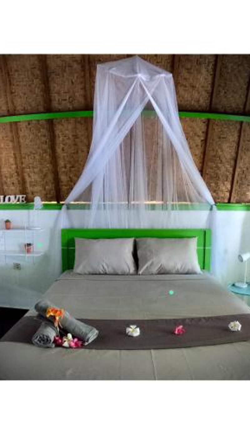 Kaktus bungalow