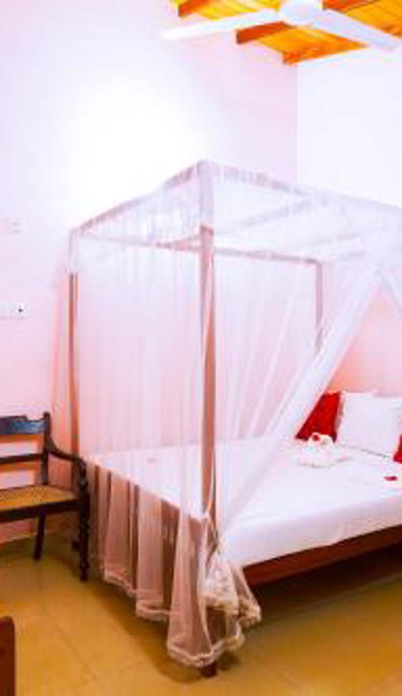 The Frangipani motel