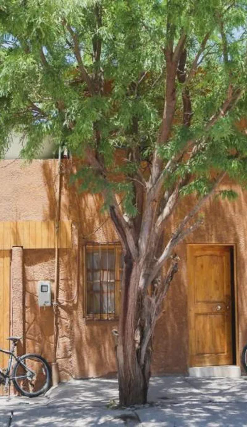 Hostal Chaxa