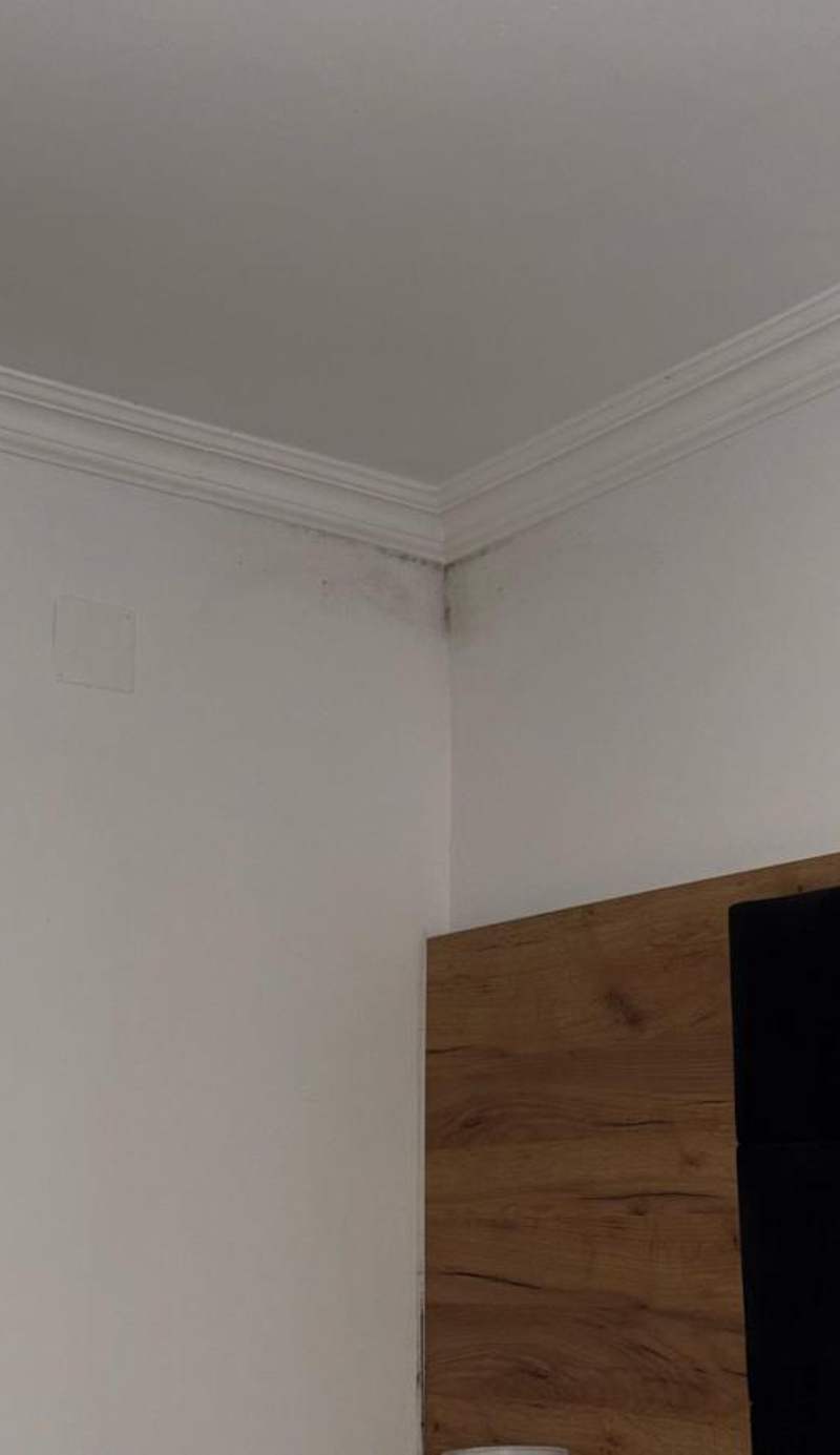 VIENNA Premium Apartments - self check-in