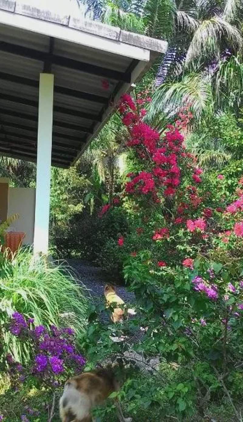 Aathid Garden Khao Lak